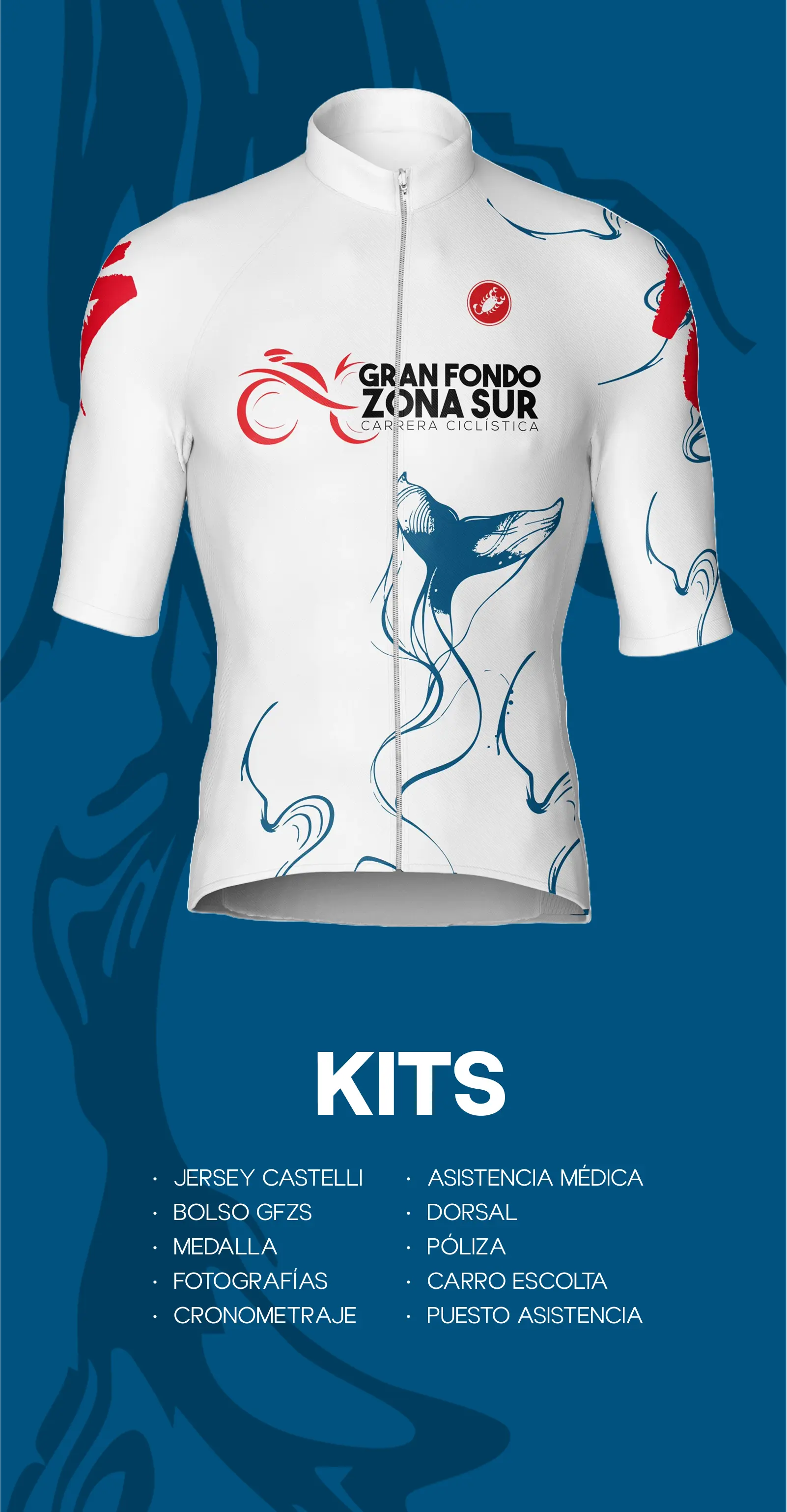 Kits Gran Fondo Zona Sur móvil